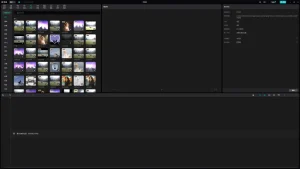 【PC】剪映专业版会员解锁永久版-白夜ACG