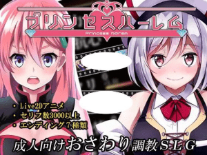 [PC+安卓盖世]【调教SLG/动态】公主后宫プリンセスハーレム V1.18 精翻汉化去码/648-白夜ACG