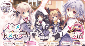 【PC+安卓+kr】[ADV/汉化]少女领域/847-白夜ACG