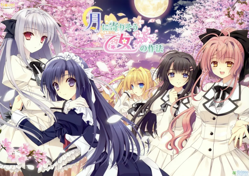 【PC】月に寄りそう乙女の作法/近月少女的礼仪/1381-白夜ACG